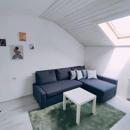 Appartement Udoban Stan Sa Terasom U Mirnom Okruzenju à Zagreb Extérieur photo